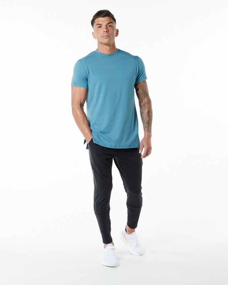 Alphalete Evo Overhemd Heren Blauw | 37KEFWYHA