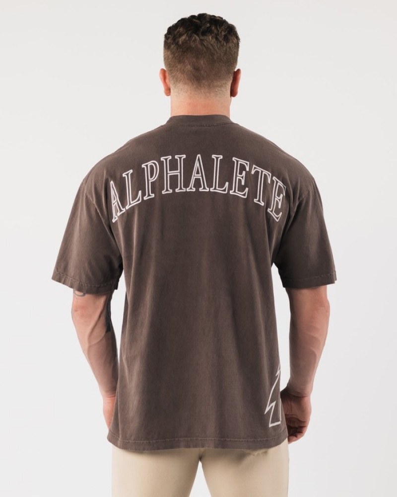 Alphalete Giant Wolf Head Overhemd Dames Grijs | 48ANXLYZI