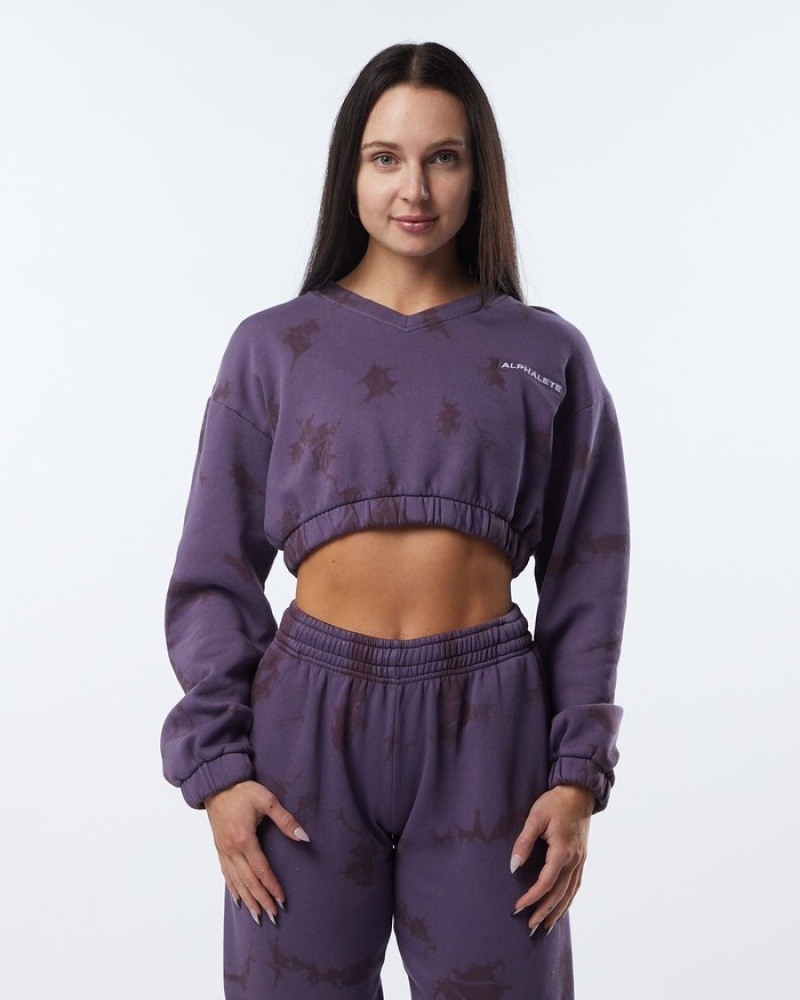 Alphalete HCTS Sweatshirt Dames Paars | 74AOFMSGX