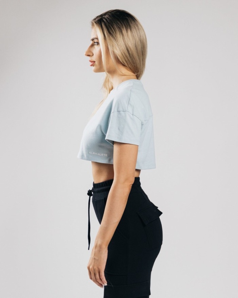 Alphalete Heavy Katoenen Dropped Shoulder Crop Overhemd Dames Blauw | 52QMBNOCD