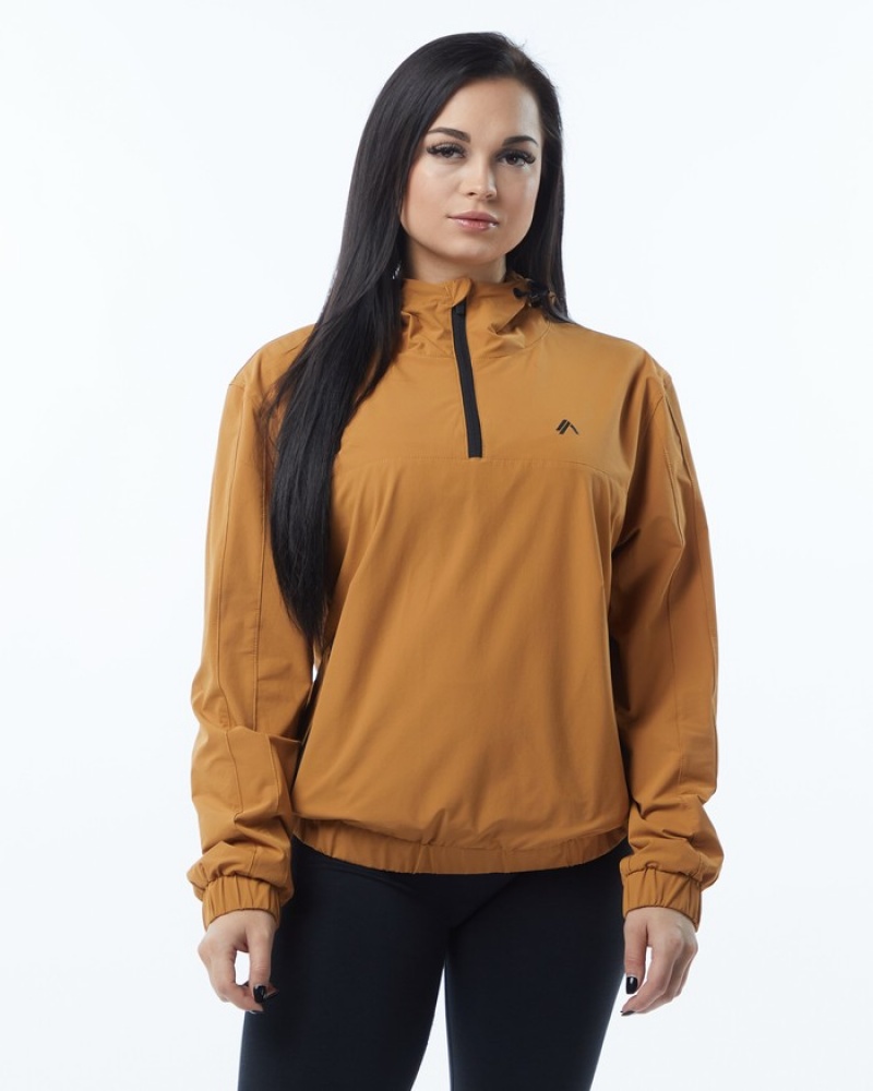 Alphalete Infinity Tech Jassen Dames Bruin | 93PWUNBDX