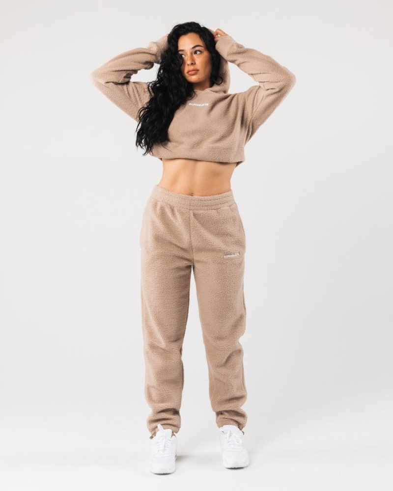 Alphalete King Crop Hoodie Dames Beige | 95JKRGVPM