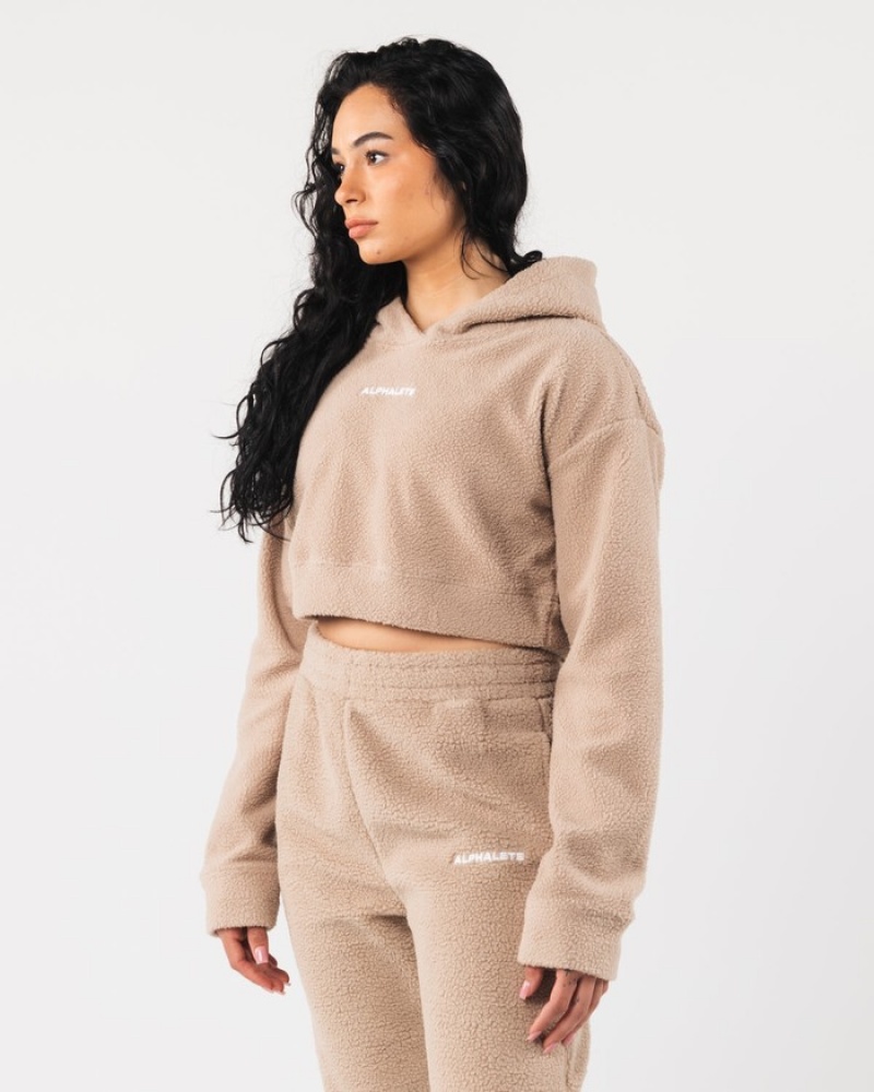 Alphalete King Crop Hoodie Dames Beige | 95JKRGVPM