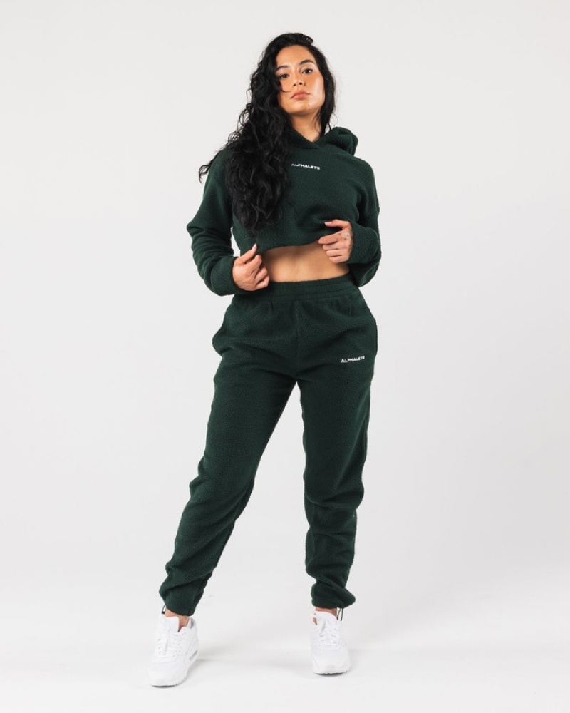 Alphalete King Crop Hoodie Dames Groen | 83ICBGFDQ