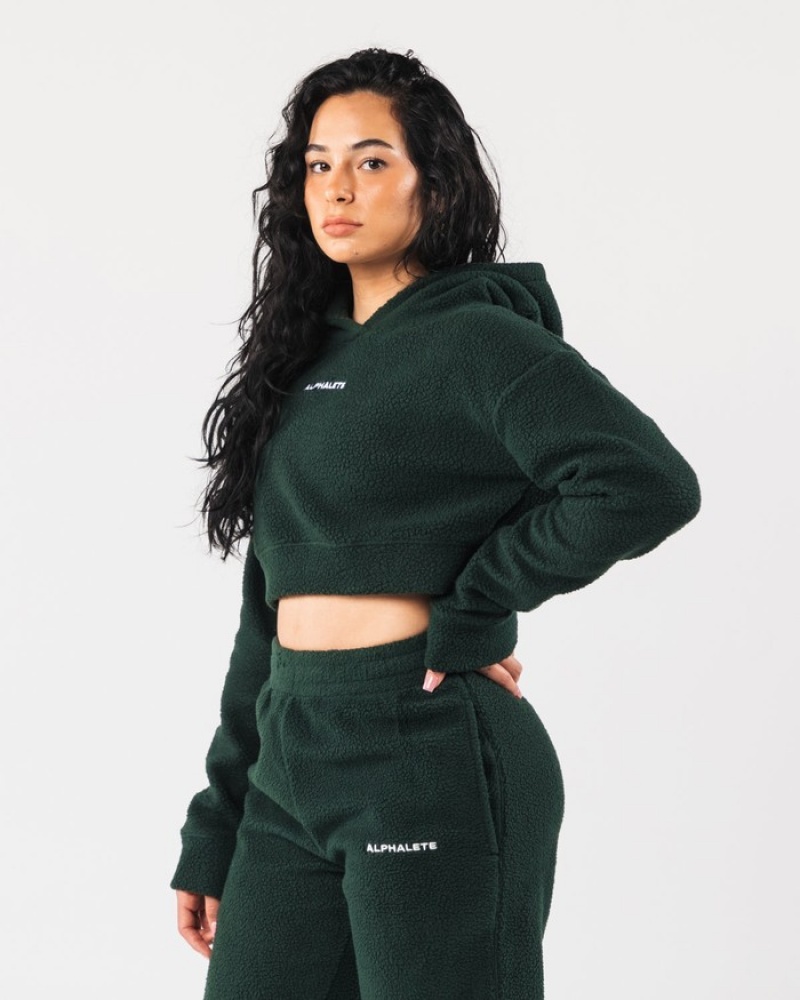 Alphalete King Crop Hoodie Dames Groen | 83ICBGFDQ