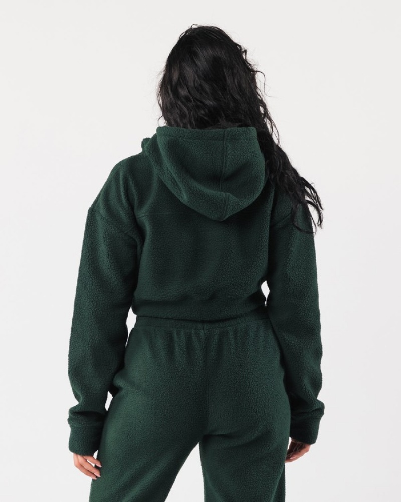 Alphalete King Crop Hoodie Dames Groen | 83ICBGFDQ