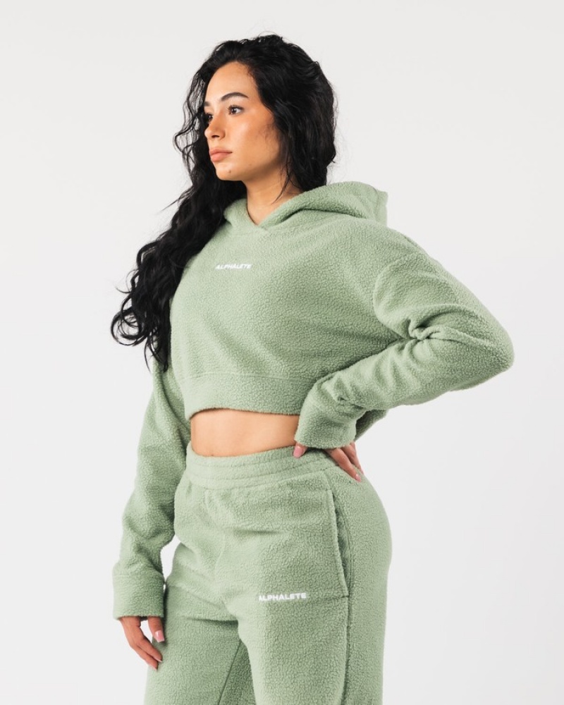 Alphalete King Crop Hoodie Dames Olijfgroen | 28MDCAHSE