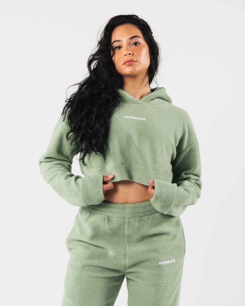 Alphalete King Crop Hoodie Dames Olijfgroen | 28MDCAHSE