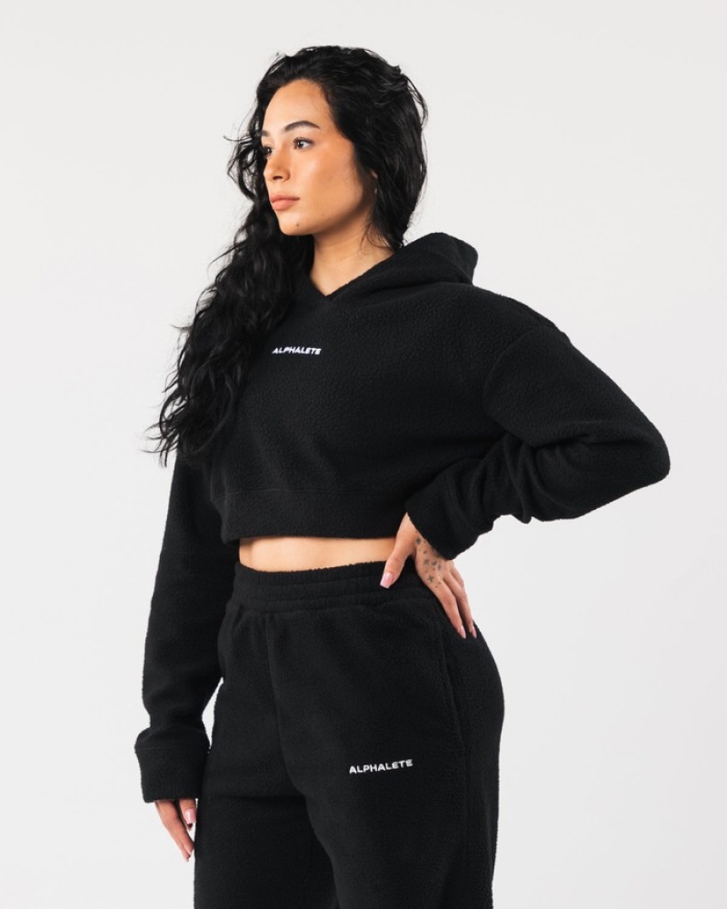 Alphalete King Crop Hoodie Dames Zwart | 94LJWDNMT