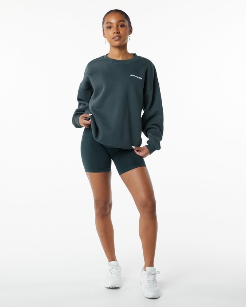 Alphalete Klassieke Crew Sweatshirt Dames Grijs | 37WFCUZDE