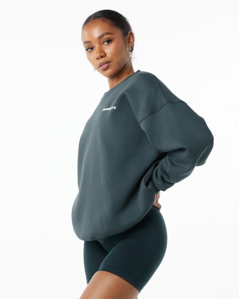 Alphalete Klassieke Crew Sweatshirt Dames Grijs | 37WFCUZDE