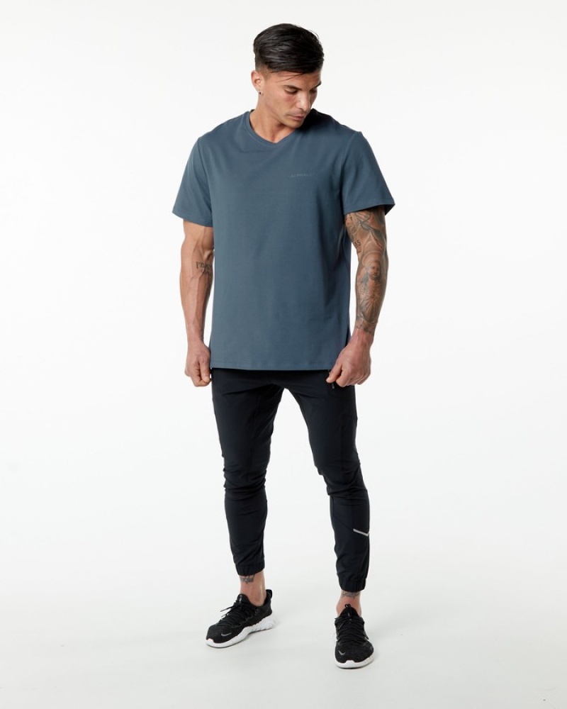 Alphalete Klassieke Overhemd Heren Blauw | 01LUNFQHW