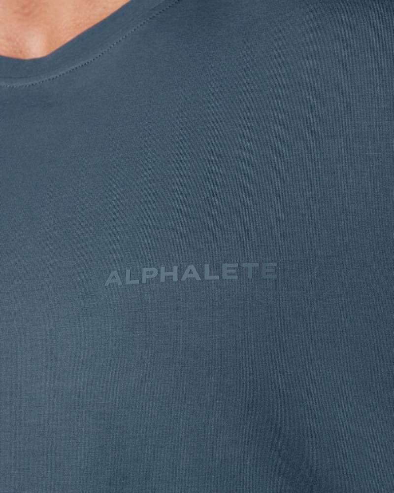 Alphalete Klassieke Overhemd Heren Blauw | 01LUNFQHW