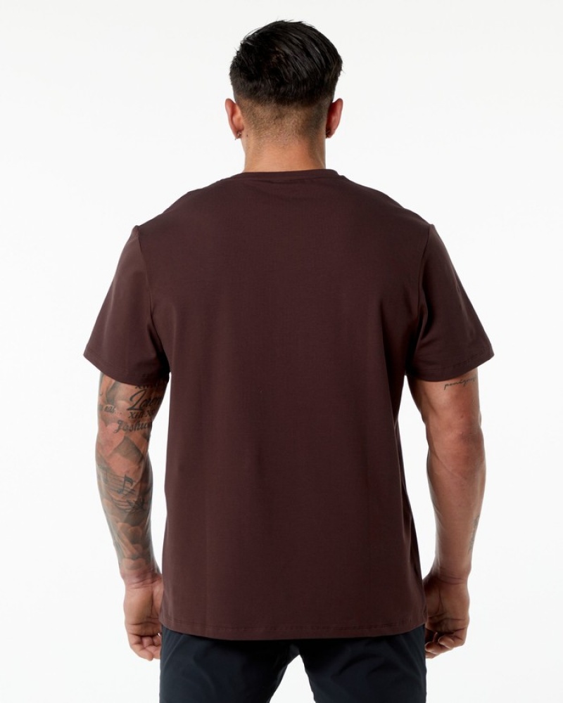 Alphalete Klassieke Overhemd Heren Bordeaux | 05KNHOSDL