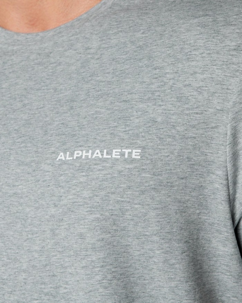 Alphalete Klassieke Overhemd Heren Grijs | 20BTULNIS