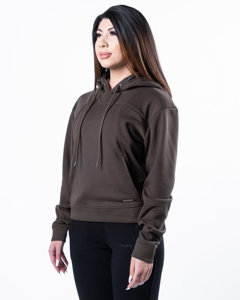 Alphalete Monarch Hoodie Dames Donkerbruin | 17PQSHZVL