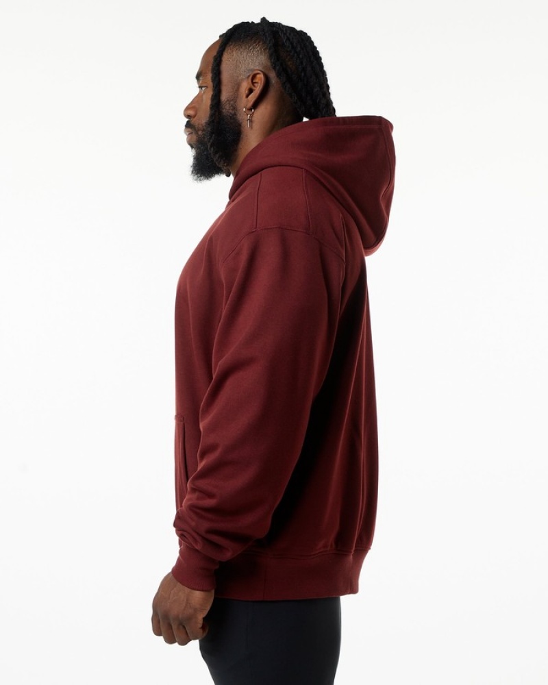 Alphalete Monarch Hoodie Heren Bordeaux | 46UNDIQVM