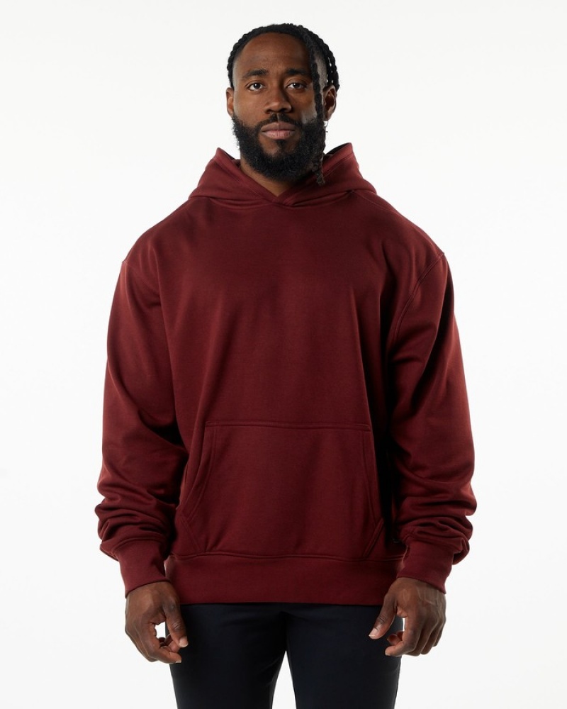 Alphalete Monarch Hoodie Heren Bordeaux | 46UNDIQVM