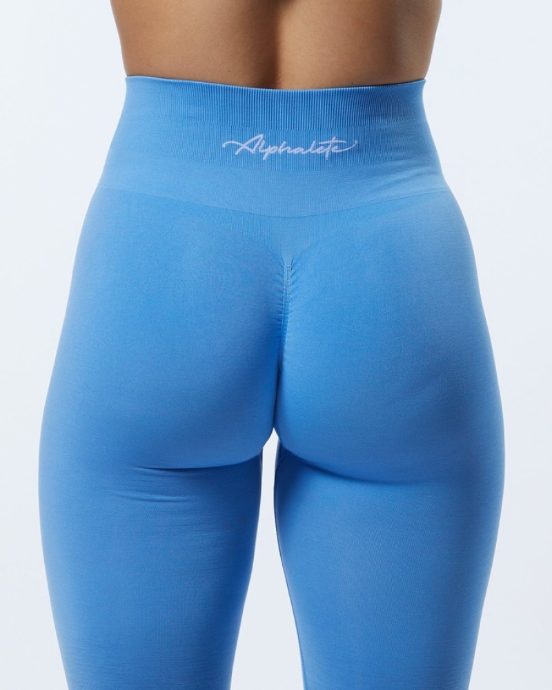 Alphalete Ombre Amplify Leggings Dames Blauw | 16ZEOFGND