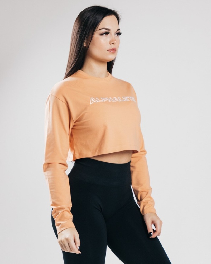 Alphalete Outlined Long Sleeve Crop T-shirts Dames Oranje | 80QXMJBEP