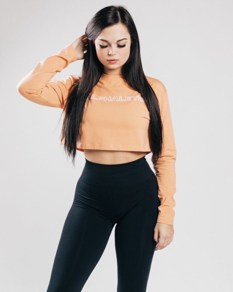 Alphalete Outlined Long Sleeve Crop T-shirts Dames Oranje | 80QXMJBEP