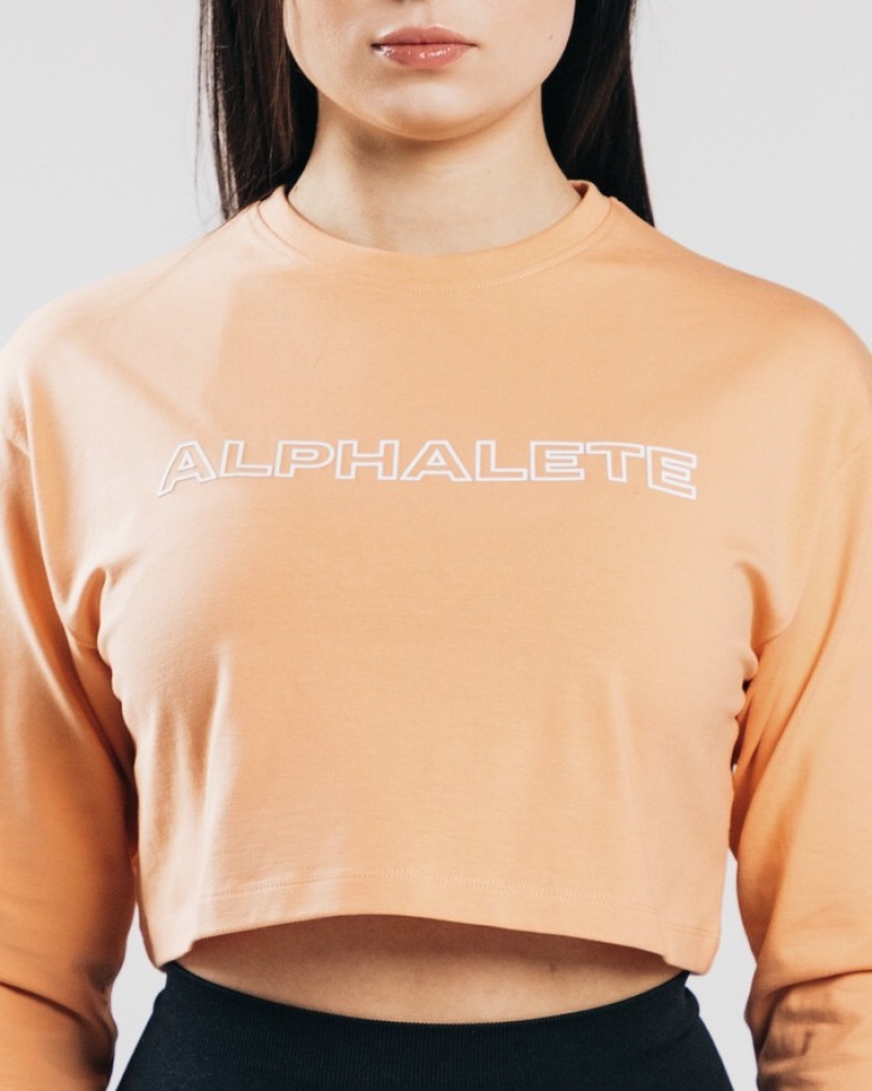 Alphalete Outlined Long Sleeve Crop T-shirts Dames Oranje | 80QXMJBEP