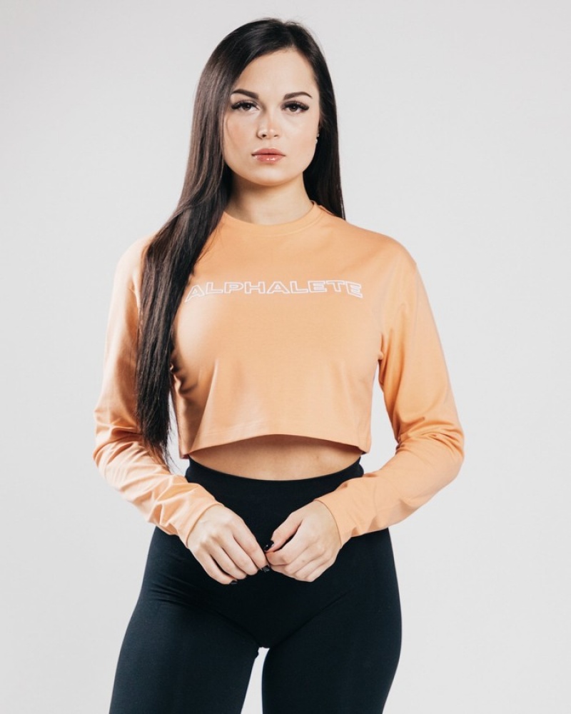 Alphalete Outlined Long Sleeve Crop T-shirts Dames Oranje | 80QXMJBEP