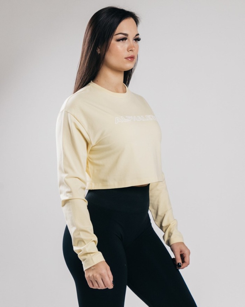 Alphalete Outlined Long Sleeve Crop T-shirts Dames Lichtblauw | 30VTNMILC