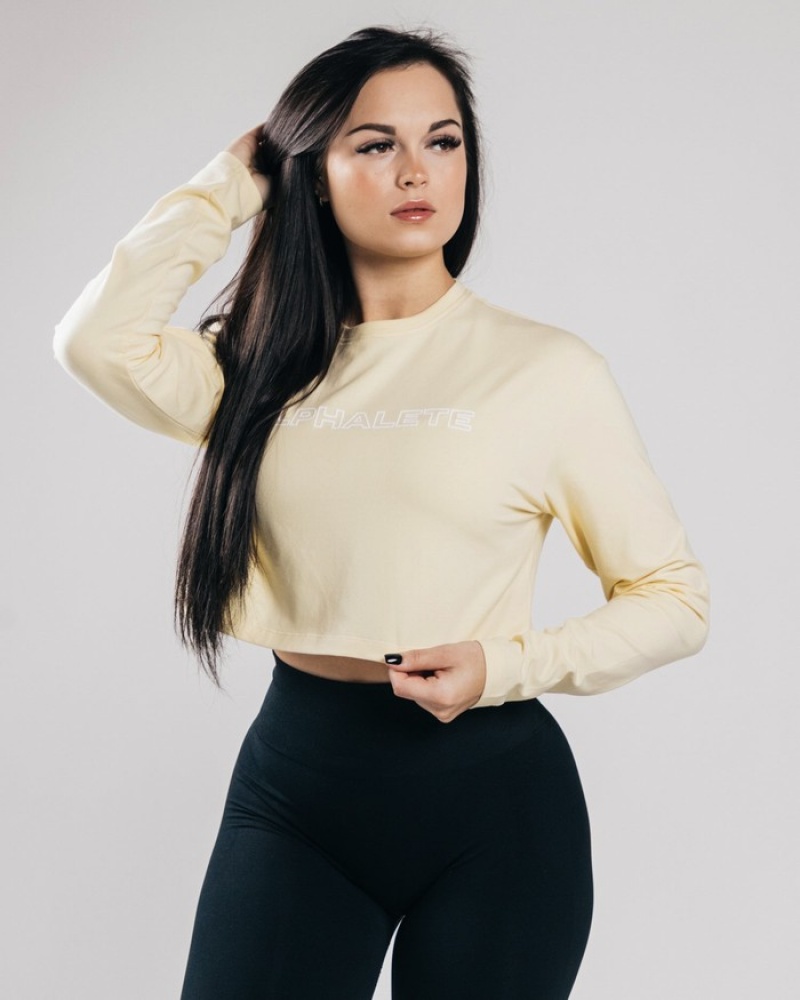 Alphalete Outlined Long Sleeve Crop T-shirts Dames Lichtblauw | 30VTNMILC