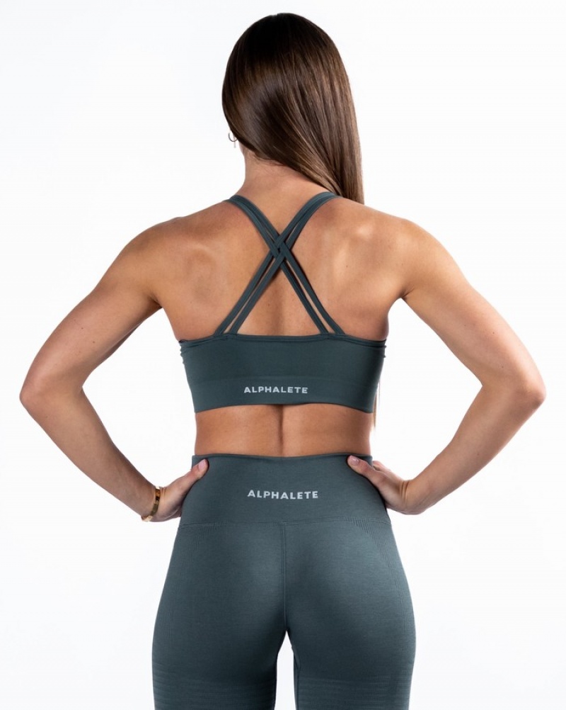 Alphalete Revival BH Dames Grijs | 01YIMEBFJ