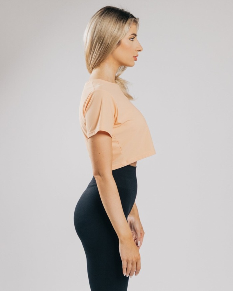 Alphalete Signature Mesh Crop Overhemd Dames Oranje | 31ZRUXKNQ