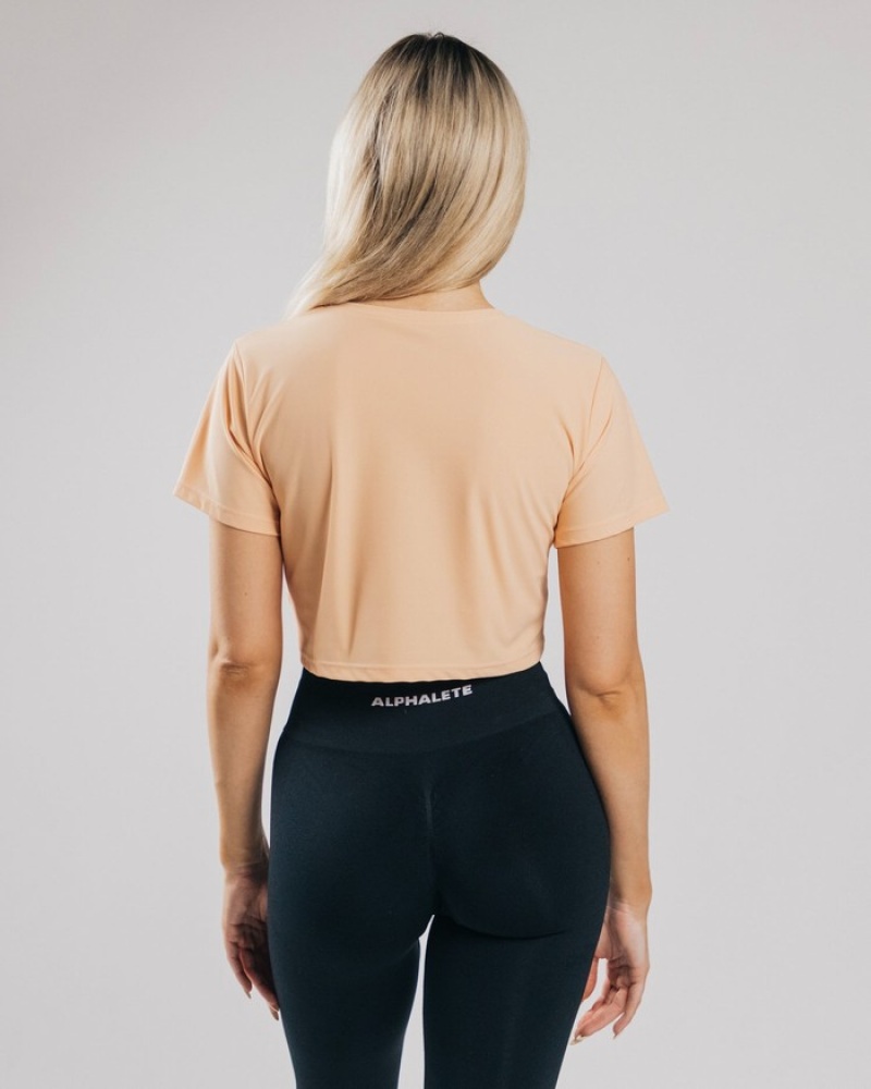 Alphalete Signature Mesh Crop Overhemd Dames Oranje | 31ZRUXKNQ