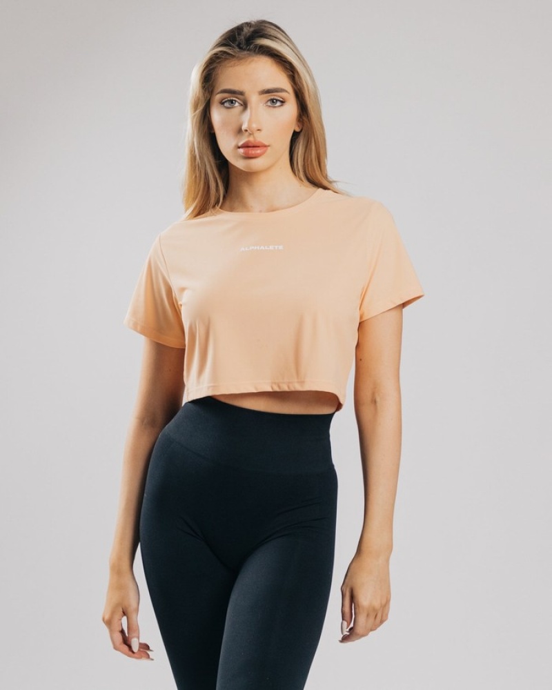 Alphalete Signature Mesh Crop Overhemd Dames Oranje | 31ZRUXKNQ