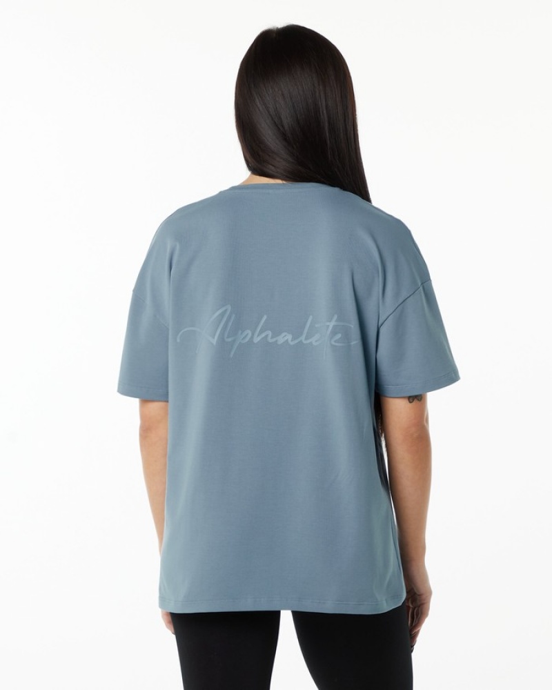 Alphalete Signature Oversized Overhemd Dames Blauw | 95PZTUDXB