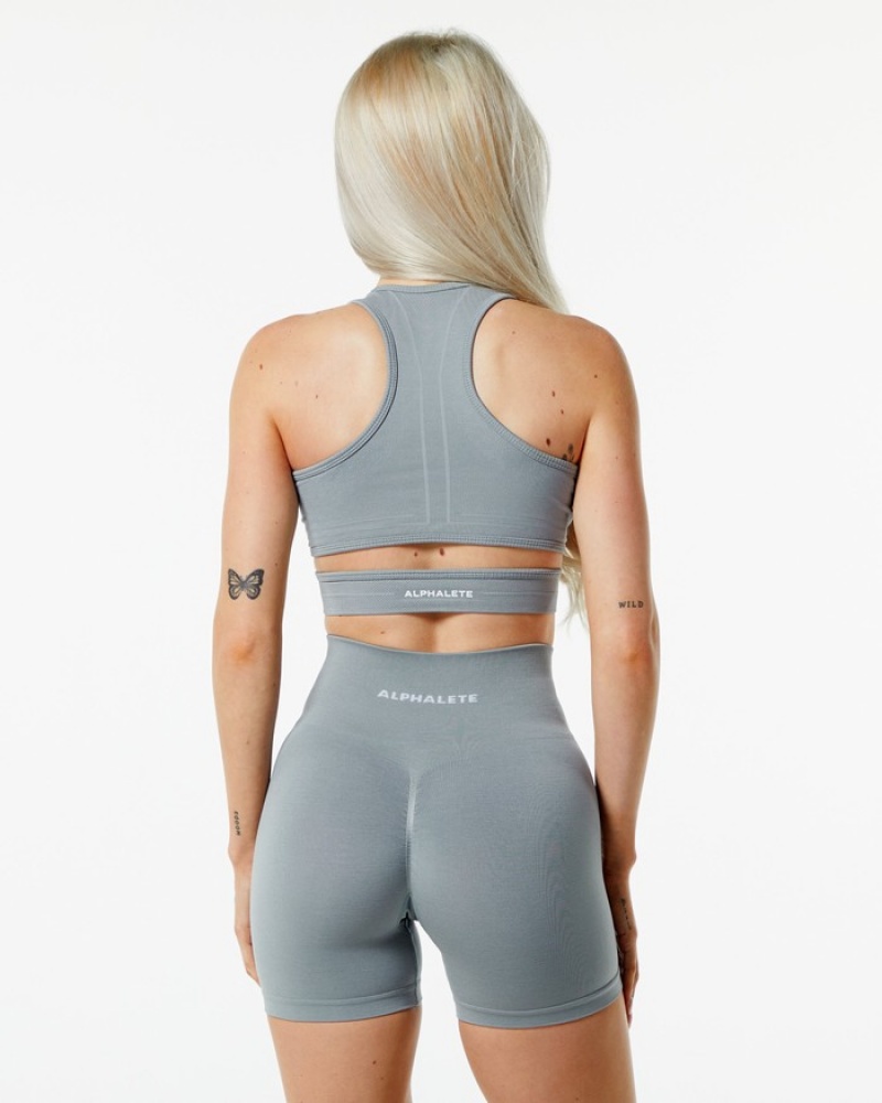 Alphalete Stratus BH Dames Grijs | 32AVHRYZG