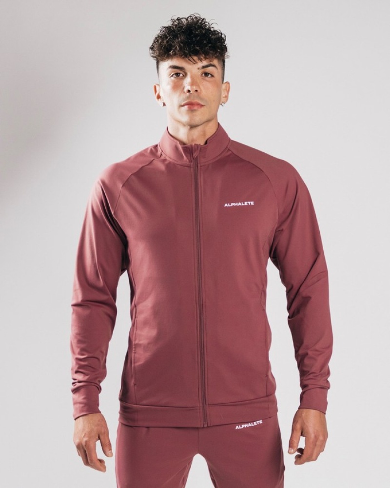 Alphalete Trace Jassen Heren Paars | 61RIGCQLV