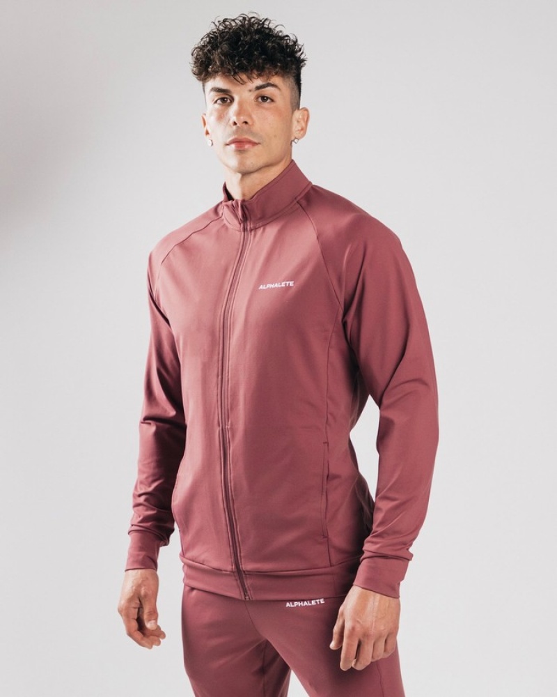 Alphalete Trace Jassen Heren Paars | 61RIGCQLV