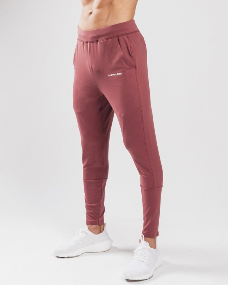 Alphalete Trace Joggingbroeken Heren Paars | 38OPFGXCQ