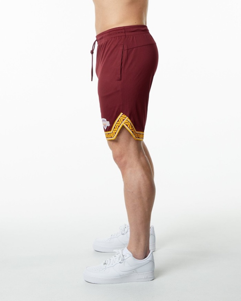 Alphalete Varsity Basketball 9