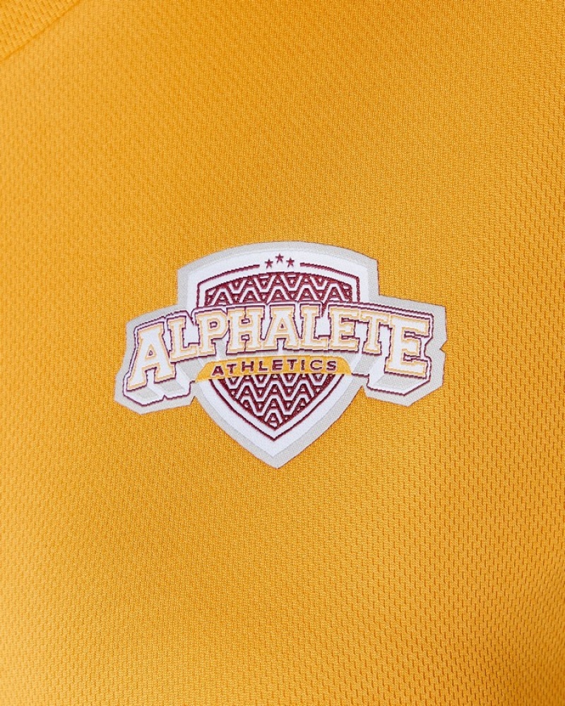 Alphalete Varsity Crop Overhemd Dames Oranje | 38QOTAXCD