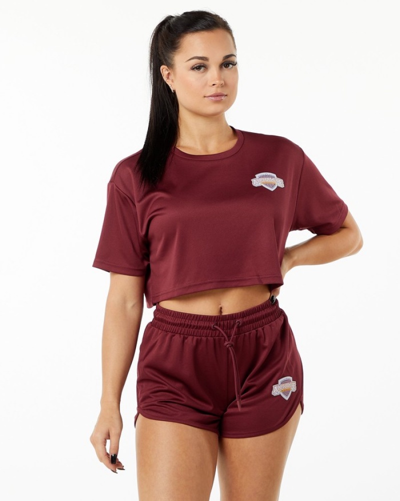 Alphalete Varsity Crop Overhemd Dames Rood | 48MNRYVIQ