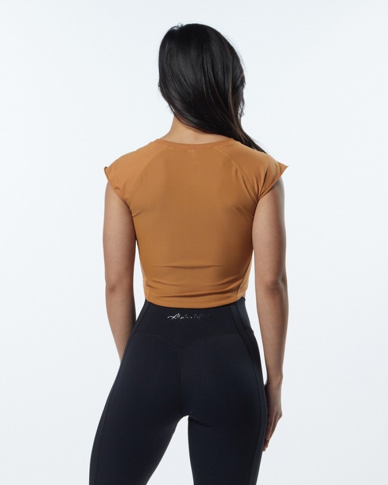 Alphalete Velocity Crop Overhemd Dames Bruin | 39IYZXNGK