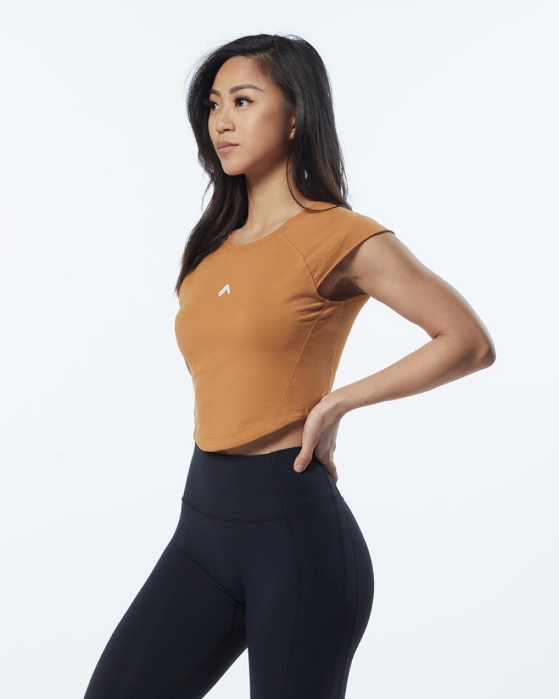 Alphalete Velocity Crop Overhemd Dames Bruin | 39IYZXNGK