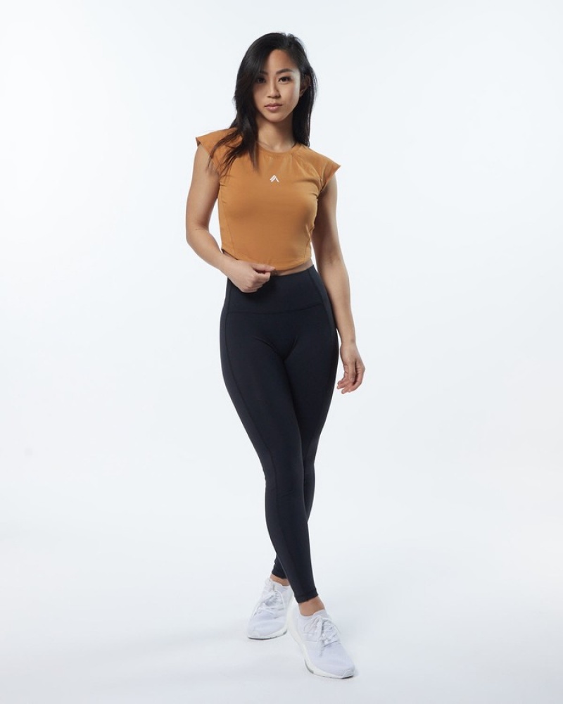 Alphalete Velocity Crop Overhemd Dames Bruin | 39IYZXNGK