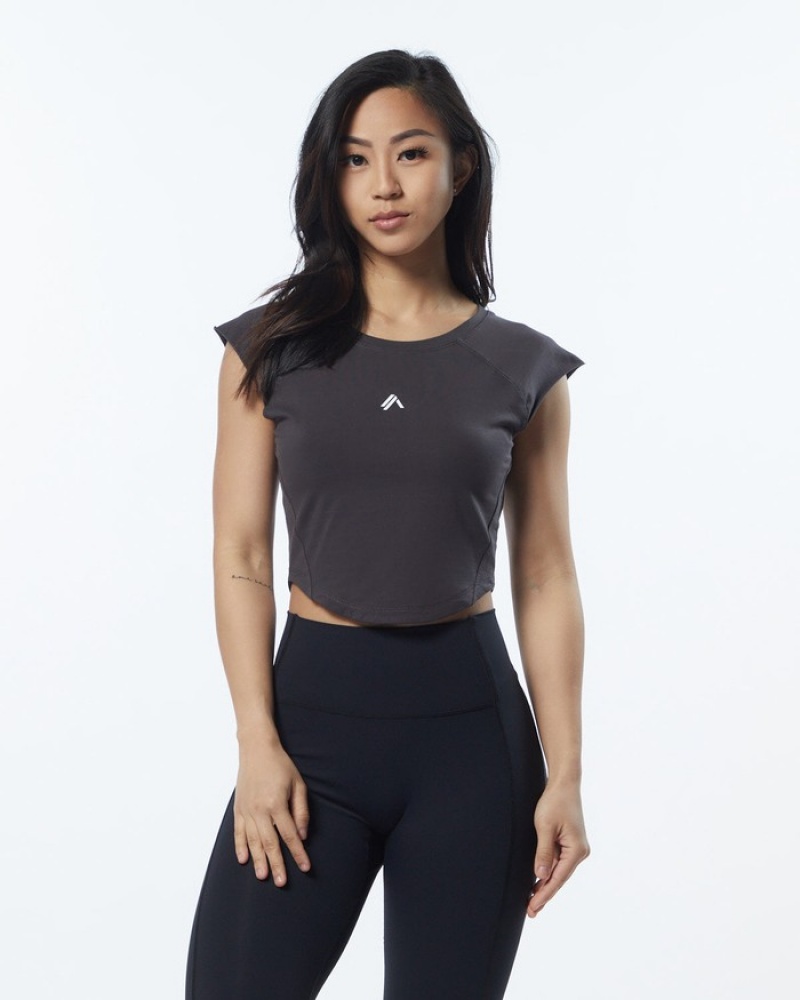 Alphalete Velocity Crop Overhemd Dames Grijs | 51KNGBZPQ