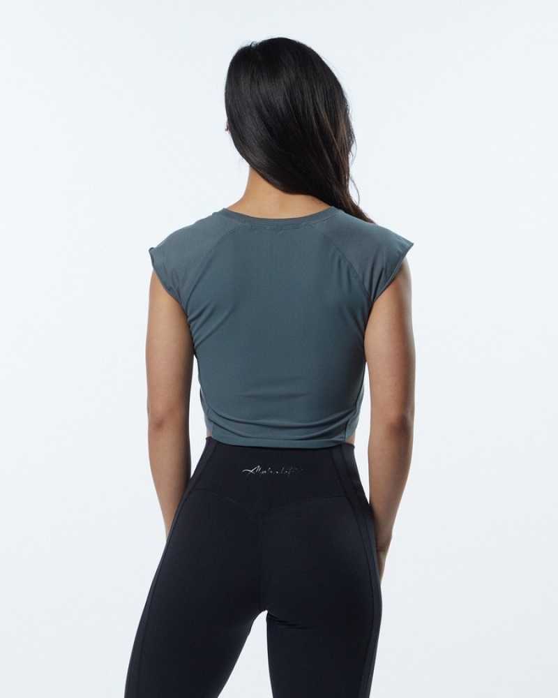 Alphalete Velocity Crop Overhemd Dames Grijs | 27DGPWFRK