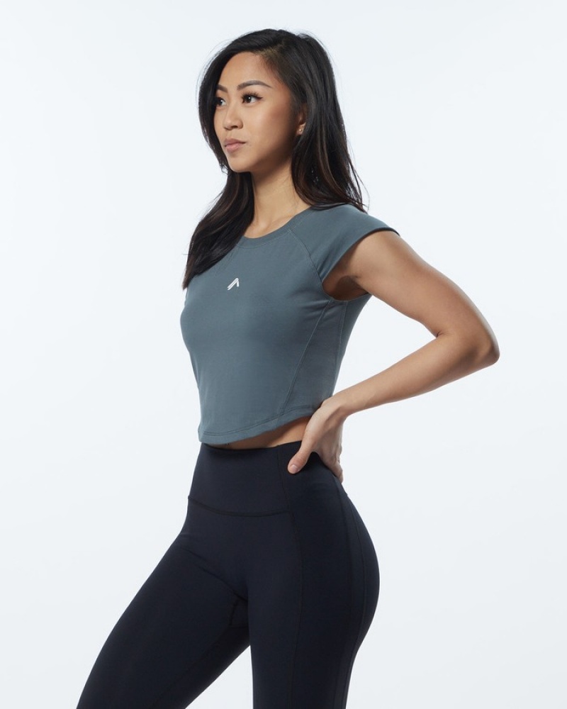 Alphalete Velocity Crop Overhemd Dames Grijs | 27DGPWFRK