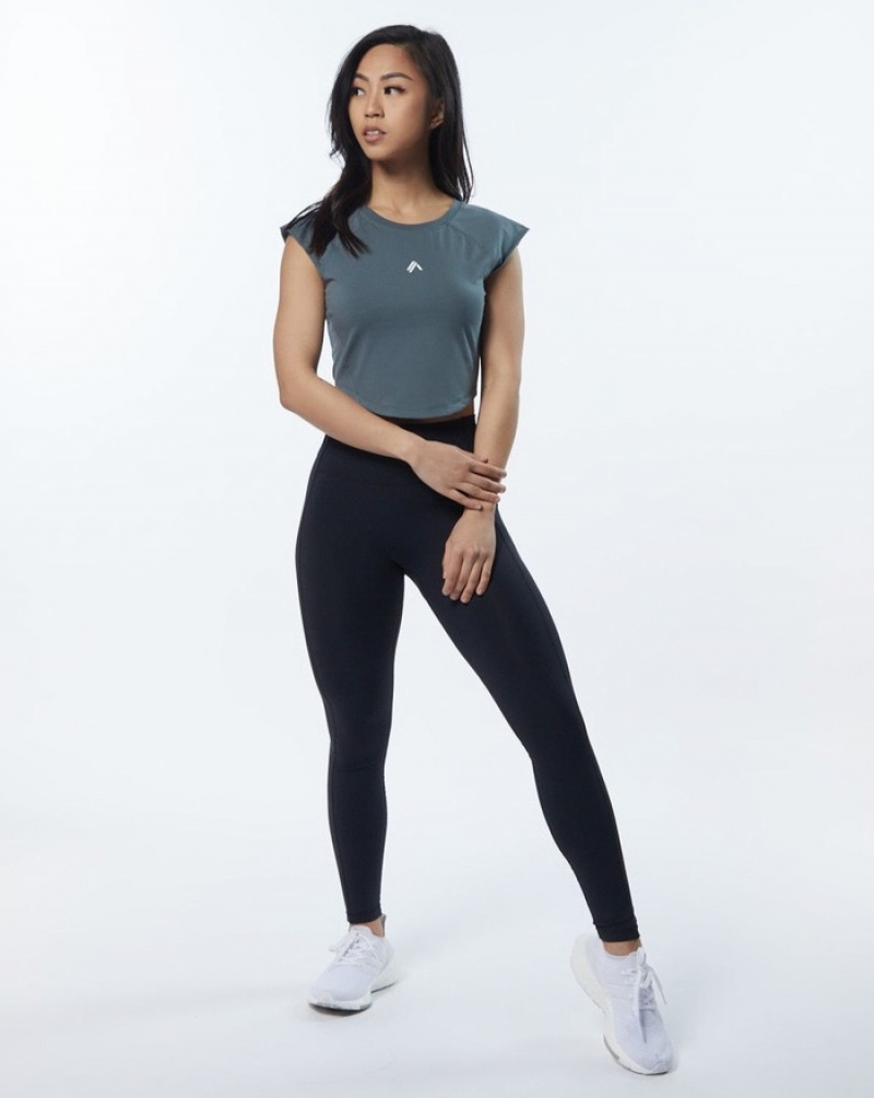 Alphalete Velocity Crop Overhemd Dames Grijs | 27DGPWFRK