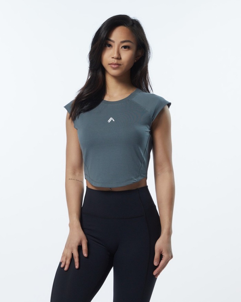 Alphalete Velocity Crop Overhemd Dames Grijs | 27DGPWFRK