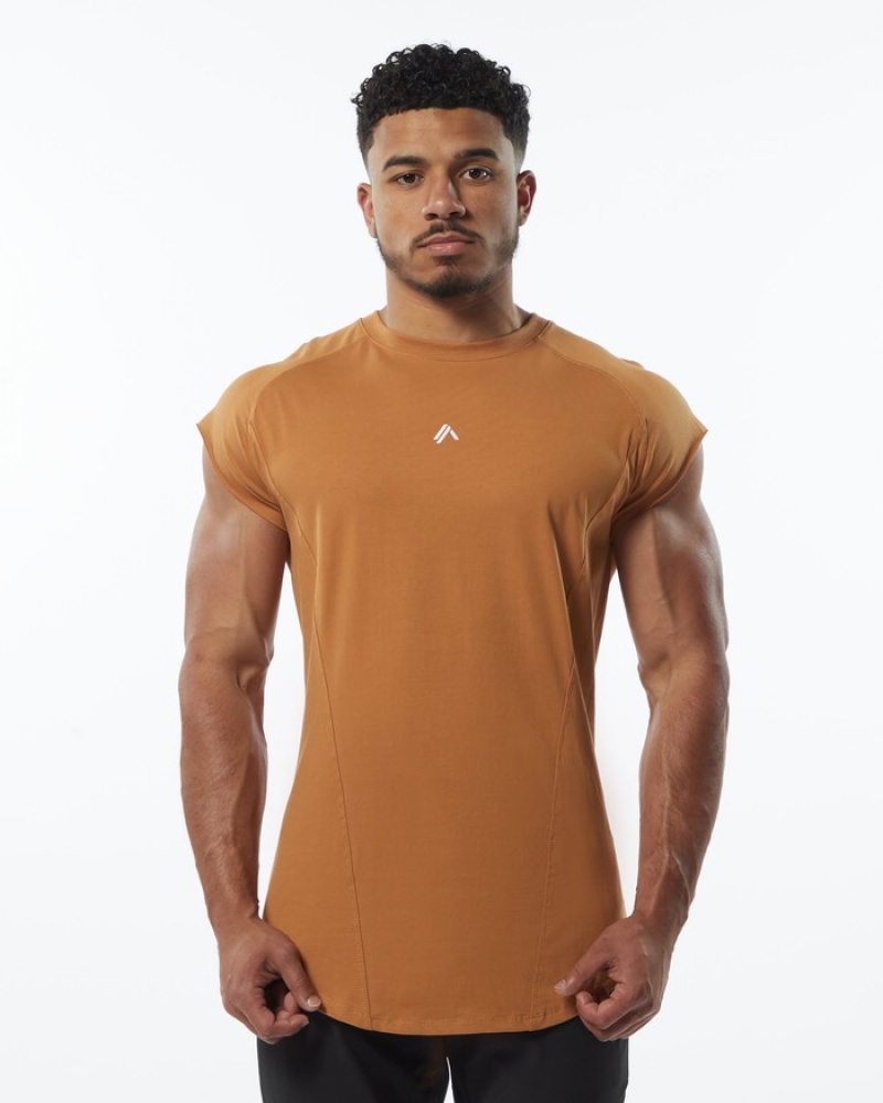 Alphalete Velocity Mouwloos Tanktop Heren Bruin | 76ZDGHNMX